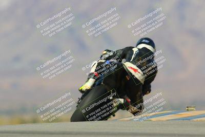 media/Jan-13-2024-SoCal Trackdays (Sat) [[9c032fe5aa]]/Turn 9 Backside (110pm)/